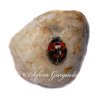 14. Coccinelle