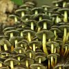 Champignons