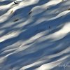 Ondulations