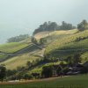 Des vignes qui font des vagues