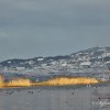 Le Grand Canal en mode hiver