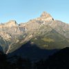 Les Dents du Midi avec leurs racines