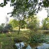 Marais de Bex à l\'aube