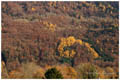 automne2.jpg
