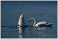 pict0001.jpg