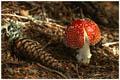 pict0031_.jpg